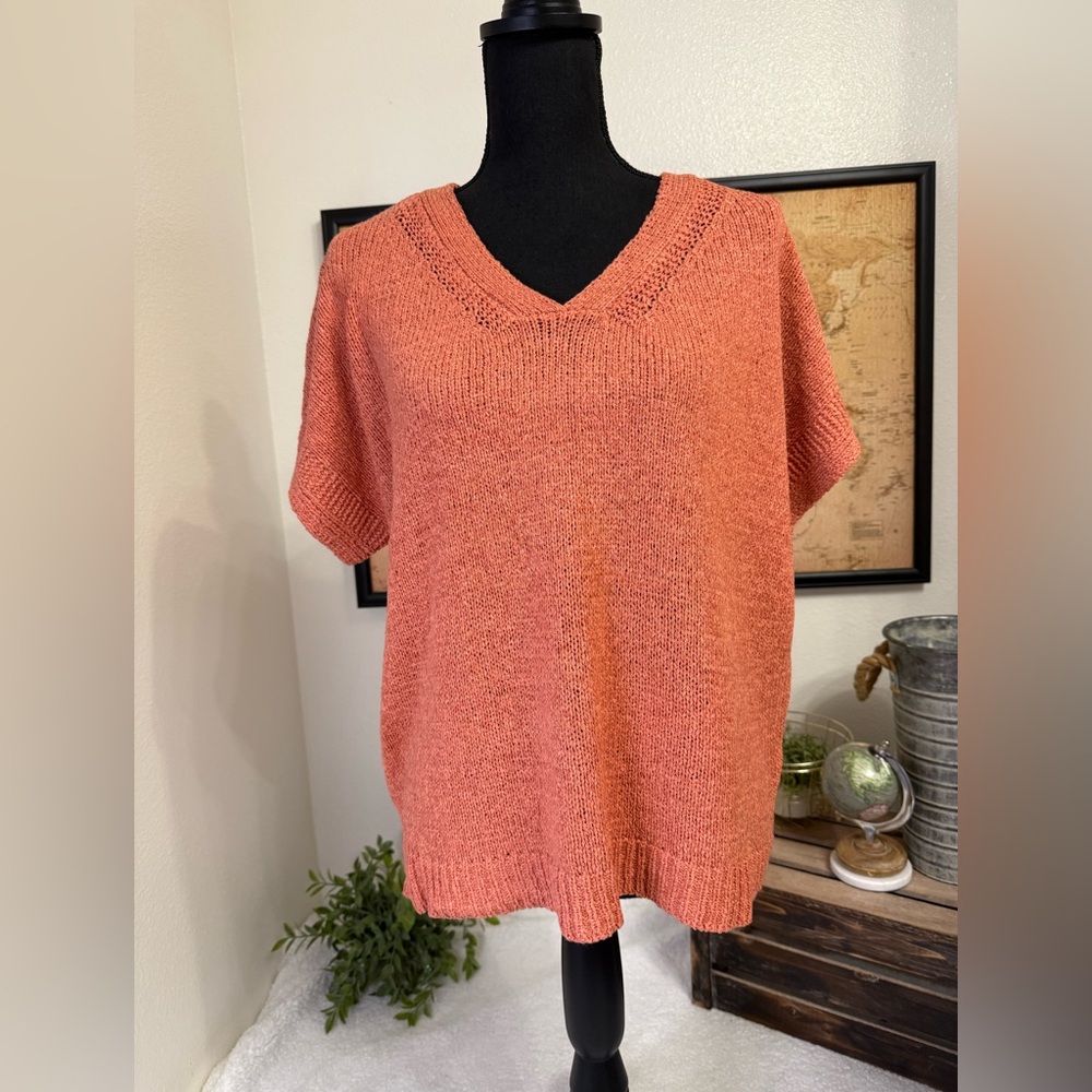 Melissa Paige short sleeve vneck sweater size XL